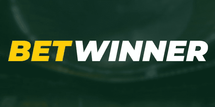 Insightful Guide to BetWinner Sports Betting