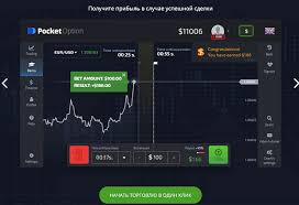 Pocket Option Questions 7 Pocket Option Questions 7