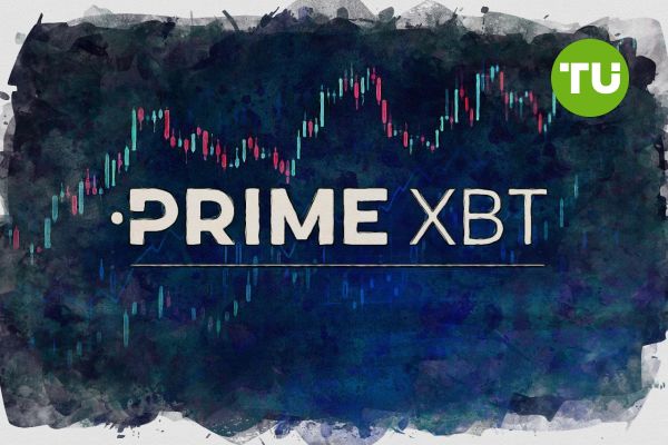 Complete Guide to the PrimeXBT Registration Process 3