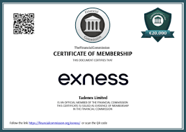 Understanding the Benefits of a Regulated Exness Broker