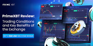 Comprehensive PrimeXBT Reviews A Deep Dive into the Trading Platform Comprehensive PrimeXBT Reviews A Deep Dive into the Trading Platform